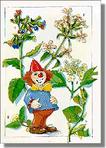 Auf unserem interessanten und lehrreichen Spaziergang über die Wiese und durch den Wald werden wir viele Pflanzen und Tiere in diesem artenreichen Lebensraum kennen lernen", sagt Enzo, der Clown, zu PETER und PETRA. Auf der weiten Wiese, die sich bis zum Waldrand erstreckt, blühen unzählige Pflanzen in den verschiedensten Farben. PETER deutet auf eine Pflanze mit gelbweißen Blüten. "Diese Art habe ich schon öfter gesehen", sagt er. "Aber ich weiß nicht, wie sie heißt." "Das ist eine Kamille", erklärt Enzo. "Aus ihren getrockneten Blüten kann man ein Dampfbad herstellen, das bei Erkältungen hilft." "Und welche Pflanze ist das?", fragt PETRA, als sie ein Stück weitergegangen sind. "Das ist eine Schafgarbe", antwortet der Clown. "Komischer Name", murmelt PETER. Enzo lächelt. "Sie heißt so, weil sie gerne von Schafen gefressen wird."